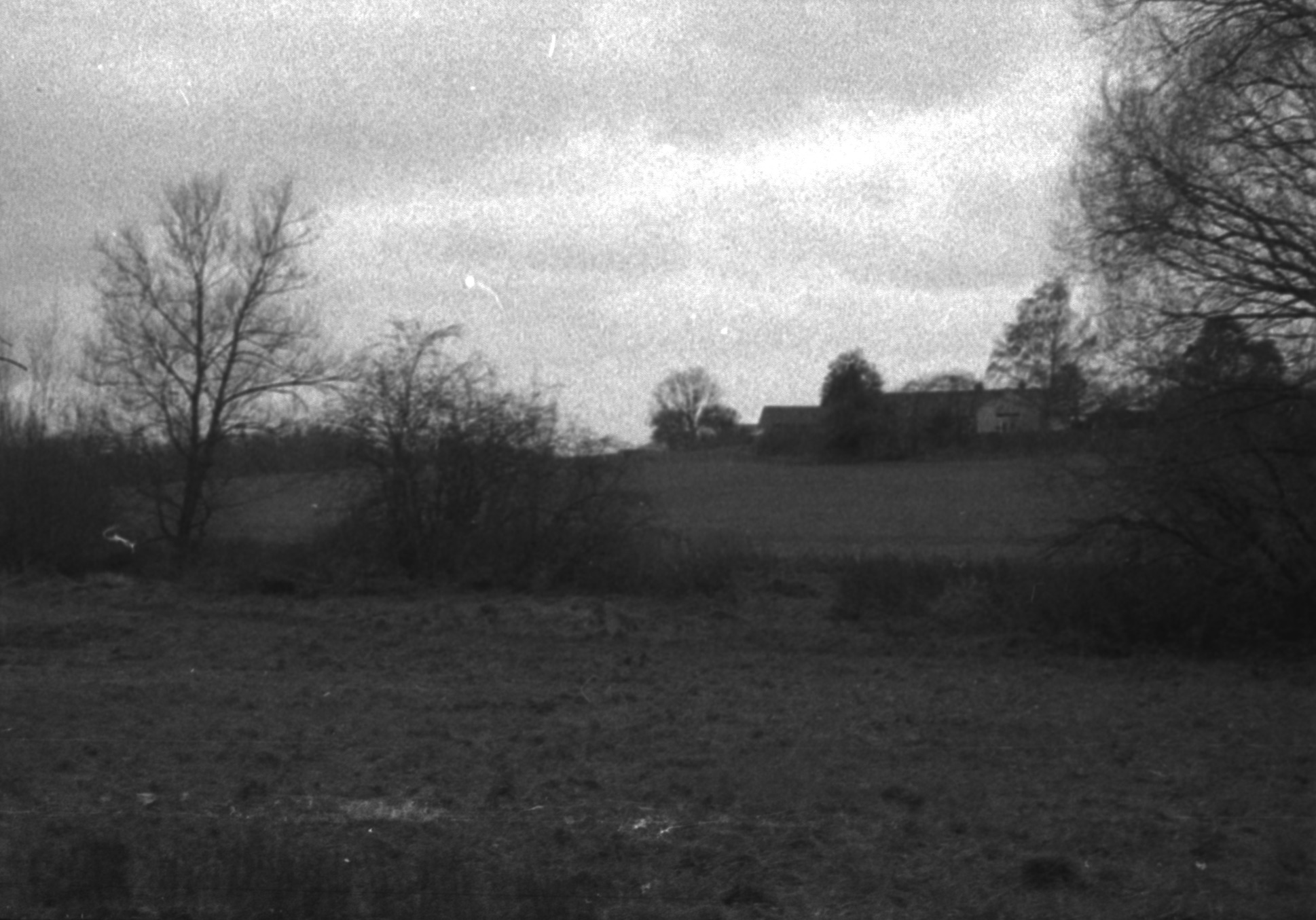 A field with trees in the background