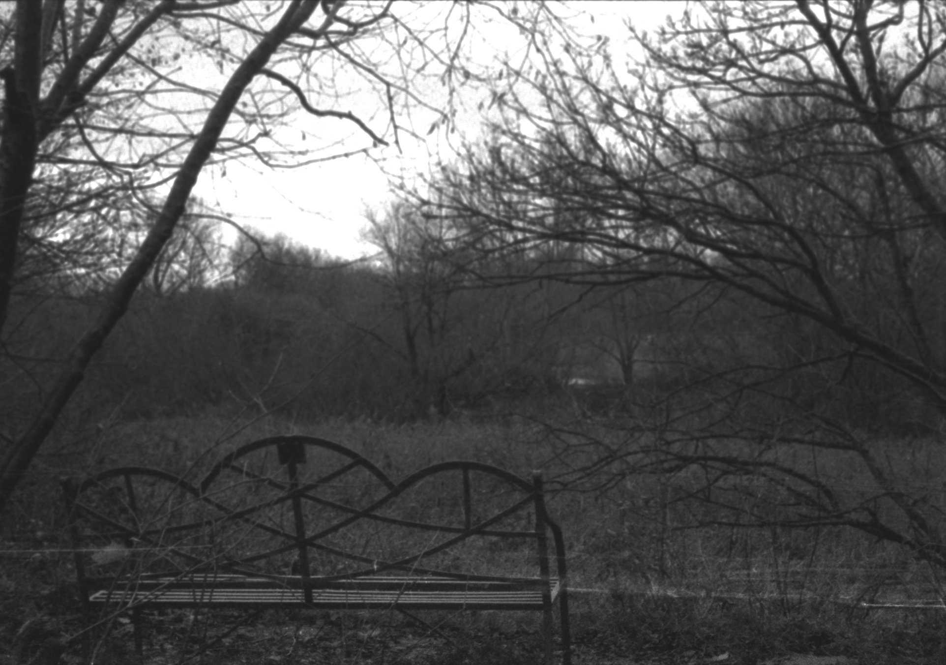 A bench in the foreground facing