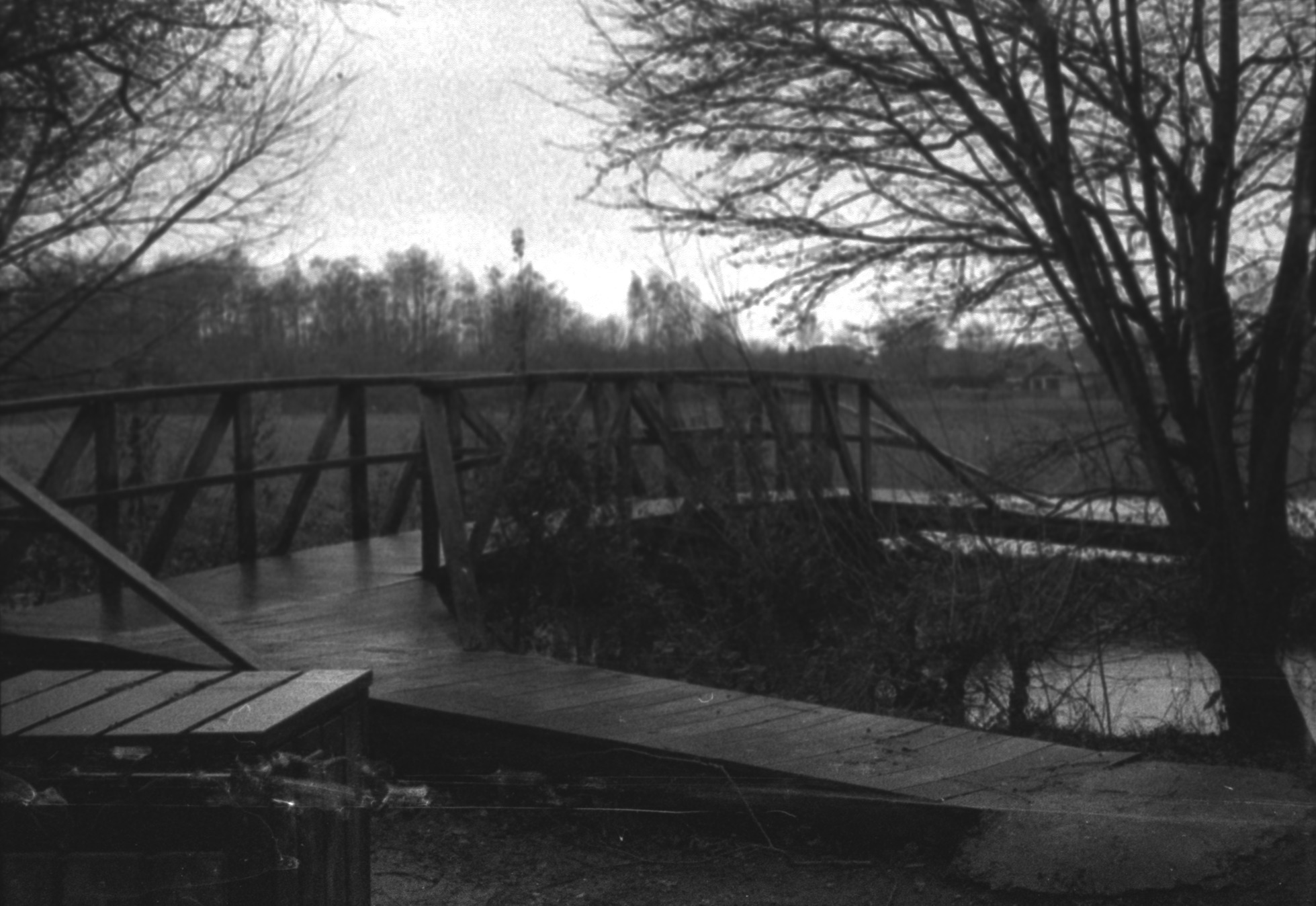 A bridge facing away with the camera with a small river flanked by two trees